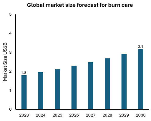 bw-market-size-forecast